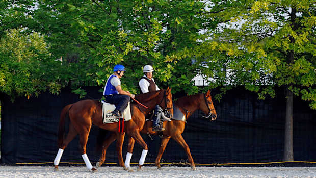 preakness-stakes-channel.jpg